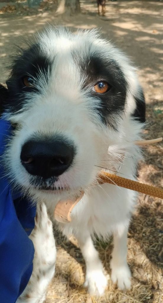 img-3691172f1c0c1ba95efa0753824d8f25-v869304286195094411 Look at all those beautiful faces! And there are so many more!